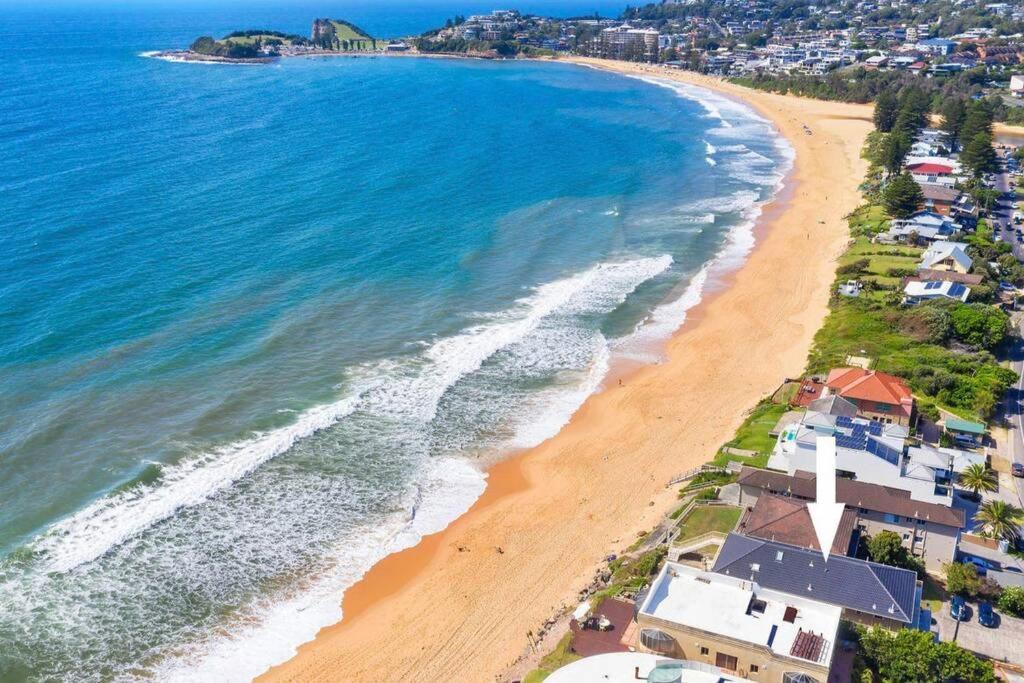 Absolute Beachfront Surf Unit In Terrigal/Wambi Apartment Wamberal Exterior photo